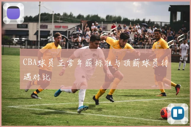 CBA球员正常年薪标准与顶薪球员待遇对比