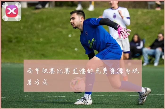 西甲联赛比赛直播的免费资源与观看方式