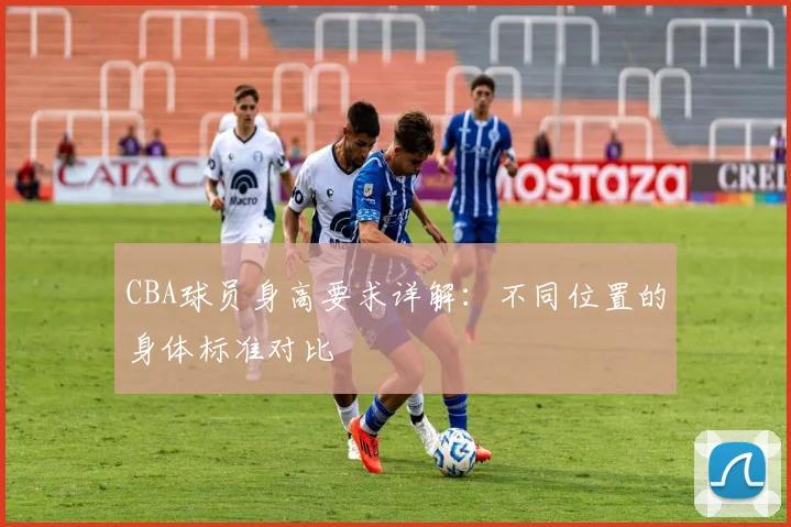 CBA球员身高要求详解：不同位置的身体标准对比