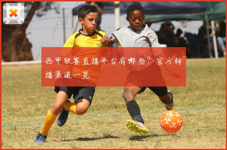 西甲联赛直播平台有哪些？官方转播渠道一览