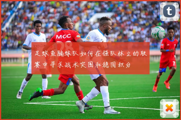 足球鱼腩球队如何在强队林立的联赛中寻求战术突围和稳固积分